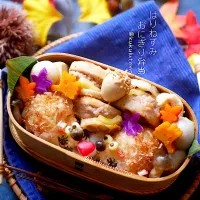 はりねずみおにぎり弁当|kukulutomo ❁𓎪 ⡱𓎩‎𐩢𐩺𓎪 ⡱さん