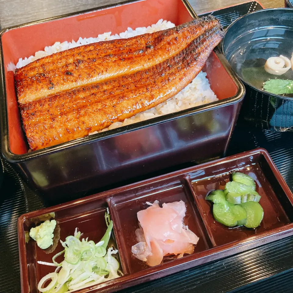 昼2025.11.9|ささなおさん