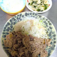 生姜焼き＆サラダ|Riapple🍎さん