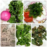 ⭐︎今日の晩ご飯⭐︎ ケールと赤かぶのサラダ　ケールチップス|hamamaさん