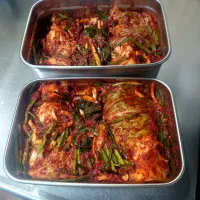 白菜キムチ|タマ三郎さん