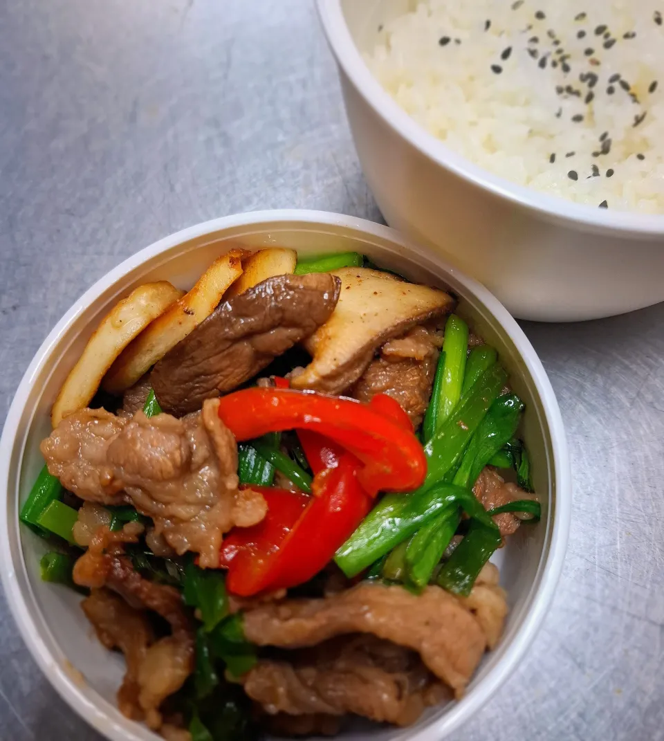 肉ねぎ弁当🍱😋|ゆきさんさん