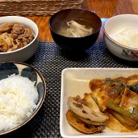 鯖の味噌煮とレンコンと豚肉の炒め物