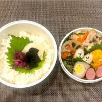 高校生息子のお弁当🍱 チキンのクリーム煮弁当🍱|Snow10さん