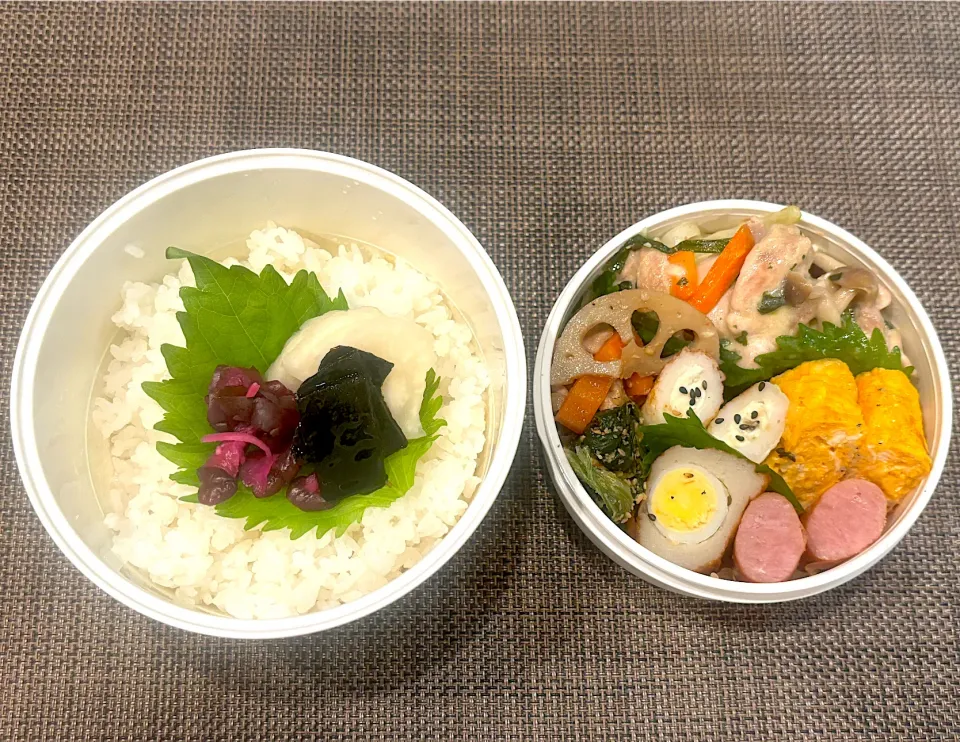 高校生息子のお弁当🍱 チキンのクリーム煮弁当🍱|Snow10さん