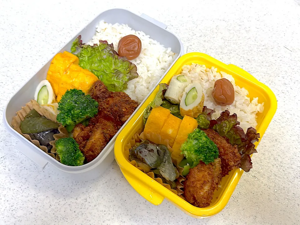 2025年11月11日お弁当🍱|もぐぷーさん