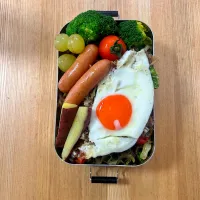 11月11日お弁当|auloraさん