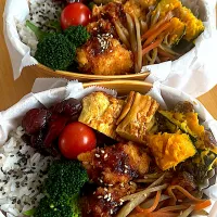 チキンカツ弁当|hiro♪kouさん