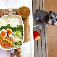 ちょいカレー弁当| cafe3733さん