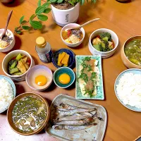 朝産み卵🥚で卵かけご飯🎵|さくたえさん