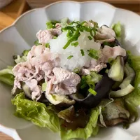 豚しゃぶと茄子のおろし香味和え|meronさん