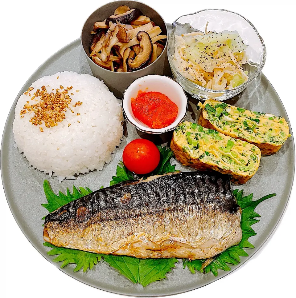 2025.11.11|ゅぃさん