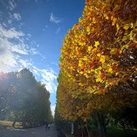 |Kaori Shimizuさん