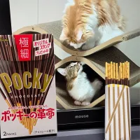 11月11日|にゃあ（芸名）さん