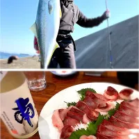 長男が鰤を釣ってきて、捌いてくれました|Hiro Yanさん