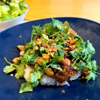 ドライカレー　パクチーまみれ| みいすさん