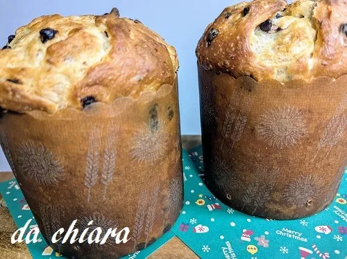 チョコチップ パネトーネ|chiaraさん