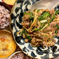 豚こま青椒肉絲|ichikayaさん