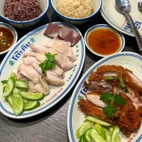Khao Mun Gai (Mixed w/ both Steamed & Deep-fried) 🐔🍚🤤|An'leeさん