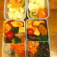 ハンバーグと唐揚げ弁当、のり弁|とまさん