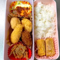 カツ/ささみチーズ/肉じゃがコロッケ/ミニアメド弁当|あおのりさん