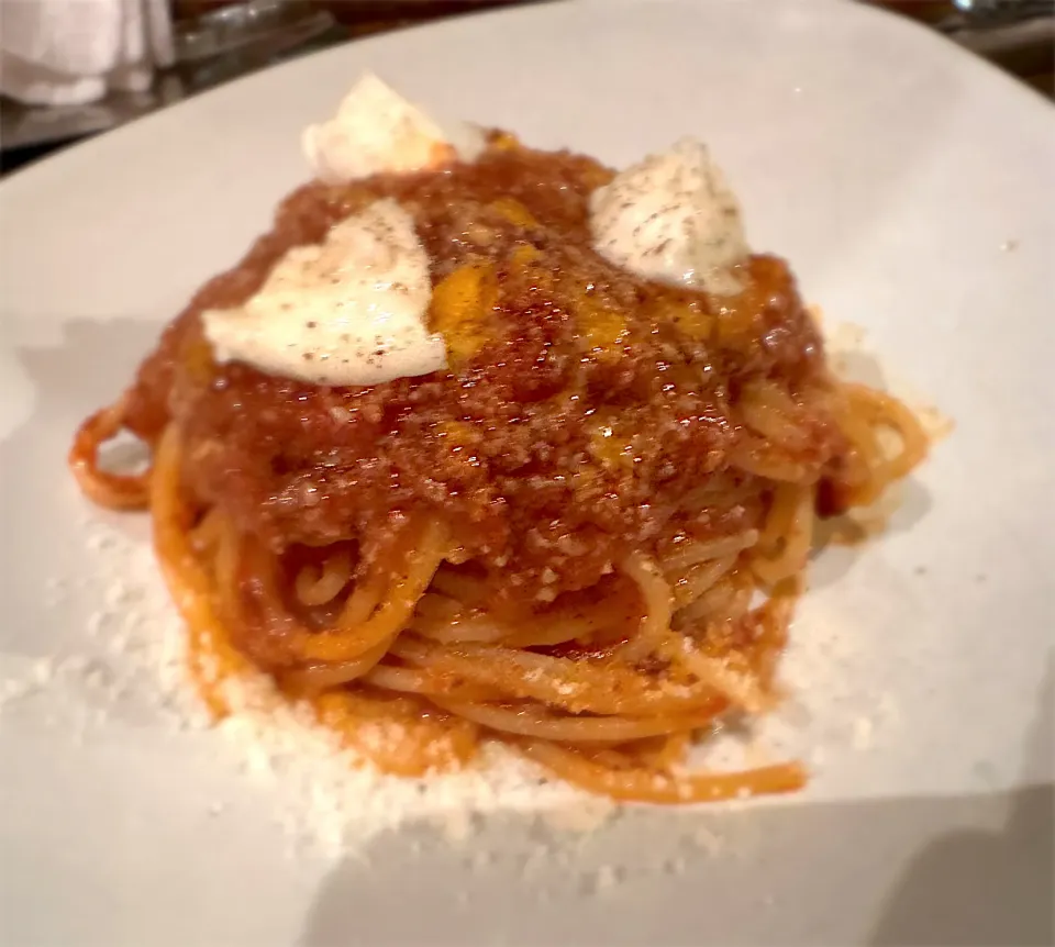 宮崎牛のボロネーゼ🐮🍝|buhizouさん