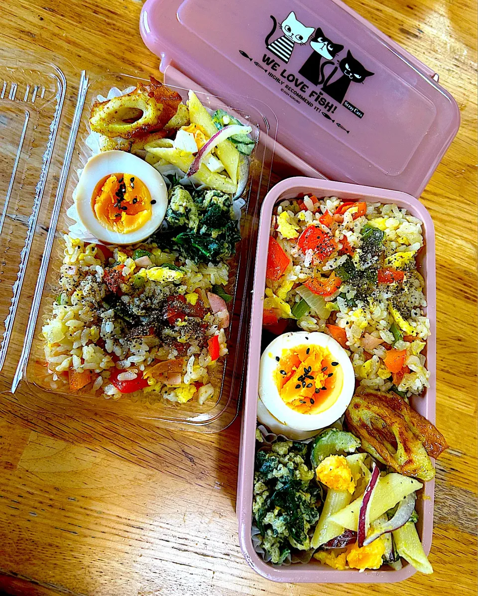 今日のお弁当|Daikiさん