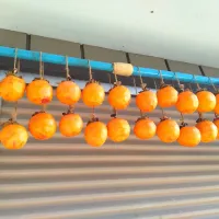 干し柿　その2|のばーきさん