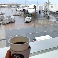 投稿漏れにて沖縄忘備録🌱35コーヒーのサンゴブレンドが31番搭乗口の売店で飲めたよ🎶|さくたえさん