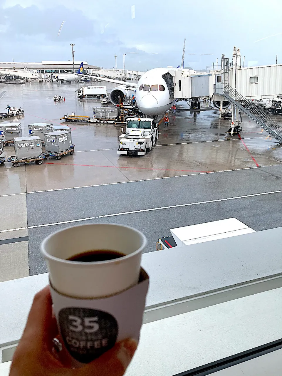 投稿漏れにて沖縄忘備録🌱35コーヒーのサンゴブレンドが31番搭乗口の売店で飲めたよ🎶|さくたえさん