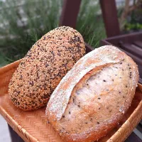 黒ごまと白ごまのカンパーニュ|みりさん