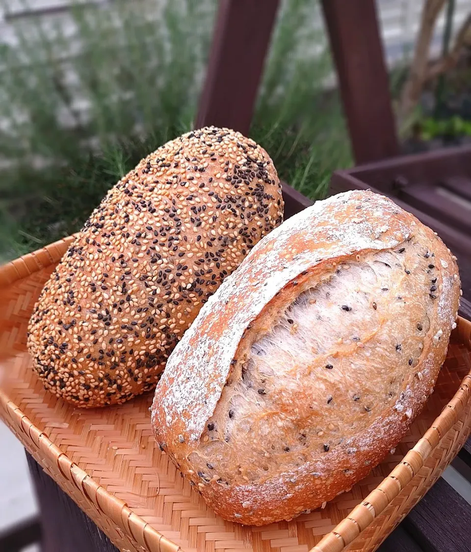 黒ごまと白ごまのカンパーニュ|みりさん