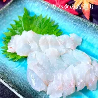 アカハタのお造り|オーロラさん