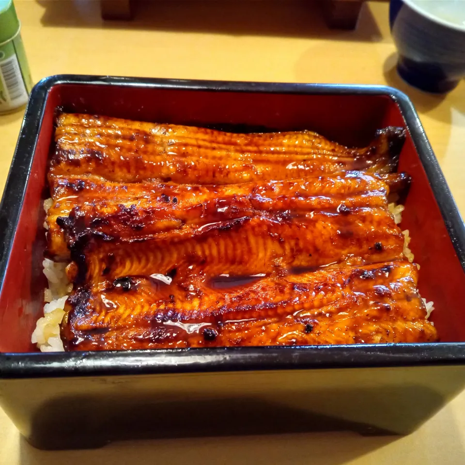 うな重（松）|よっちびやばんぶーさん