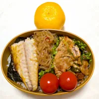 11/12のお弁当　海苔弁当|卯月さん