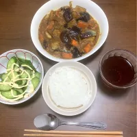今日の晩ご飯⑦  ツナと茄子と人参のカレー炒め　ボウルによそってきゅうりサラダとご飯と一緒にいただきまーす😋　汁気が多過ぎてカレー炒めというよりカレーそのものみたいになっちゃいました|なびさん