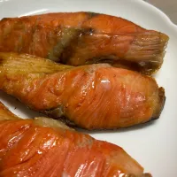 紅鮭| Morito Kamiyaさん