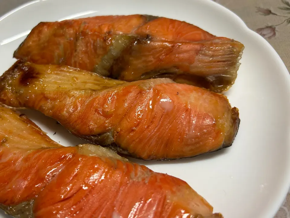 紅鮭|Morito Kamiyaさん