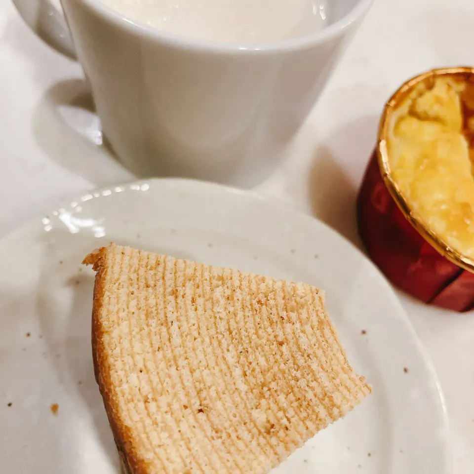 夜②2025.11.12|ささなおさん