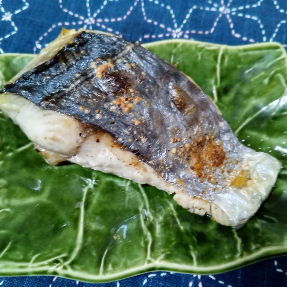 隣のお兄さんから頂いた鰆の塩焼き|よっちびやばんぶーさん