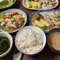 11月10日|あすこさん