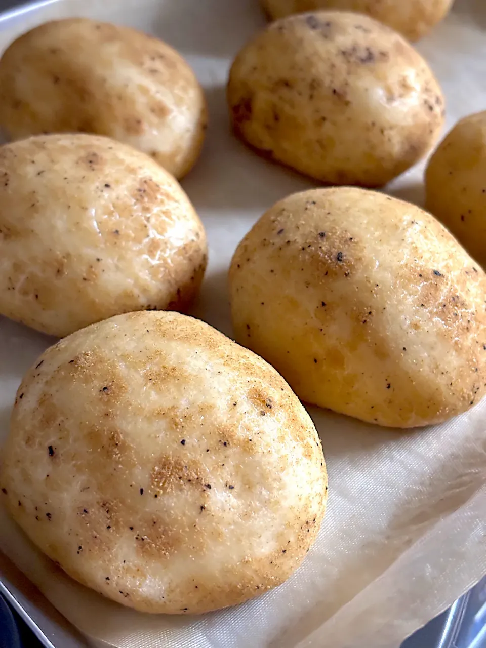 カムジャパン🥔|クーミンさん