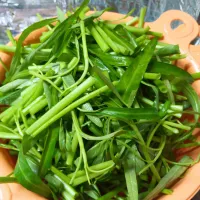 | จ๋า จ๋าさん