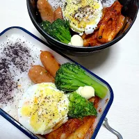 父が作る長男長女弁当