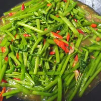 |จ๋า จ๋าさん