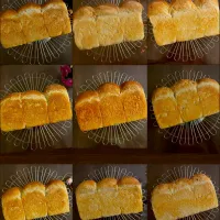 九食九色🍞𝟛