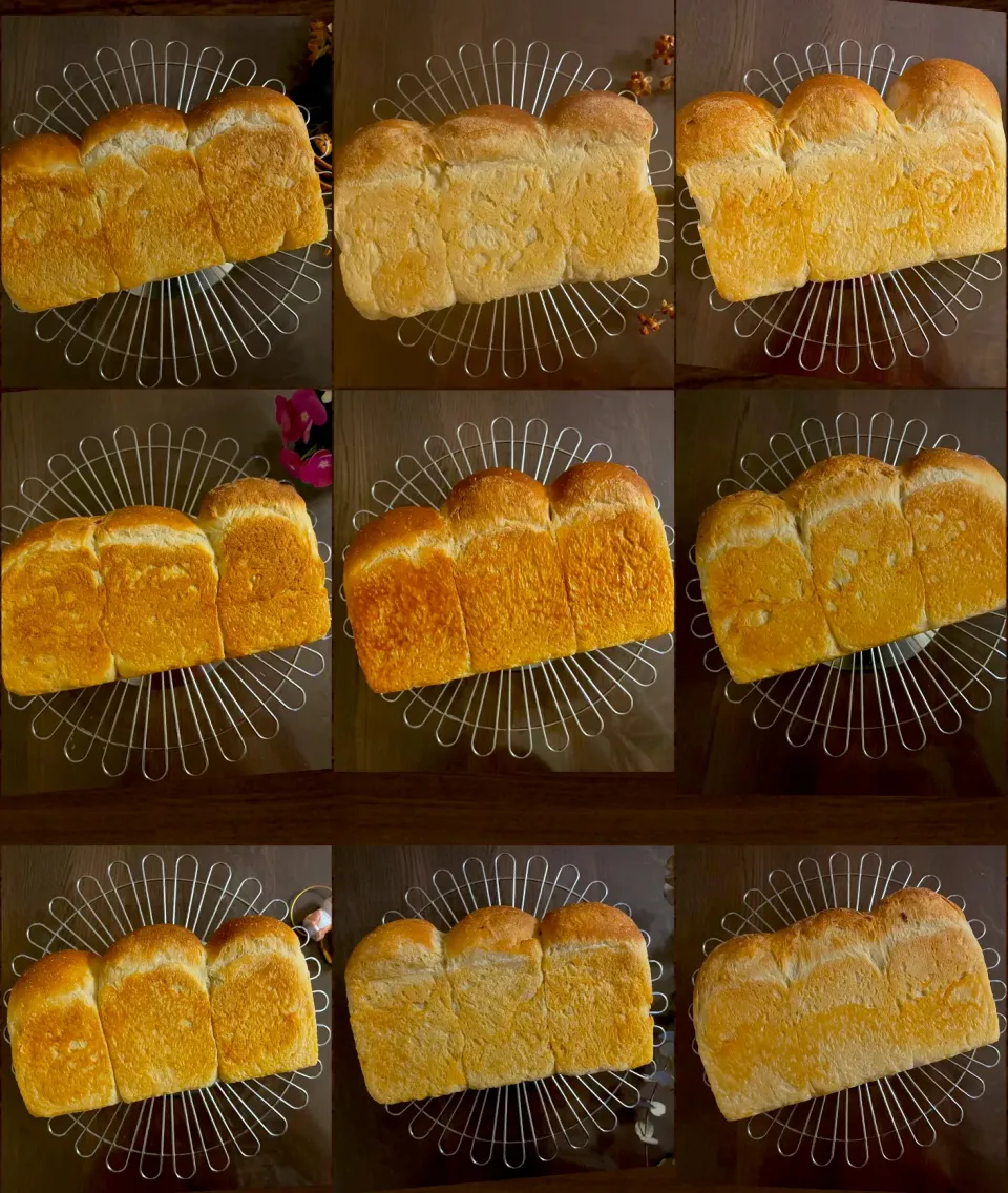 九食九色🍞𝟛|yucca@さん