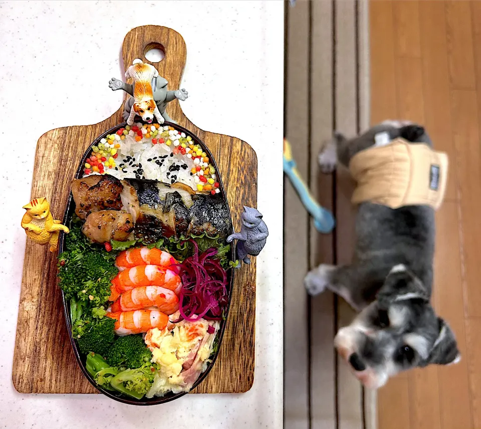 鯖塩弁|cafe3733さん