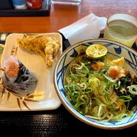 新南陽でうどん|すかラインさん