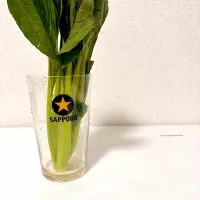 ご飯は野菜から|𝓤𝓬𝓪さん